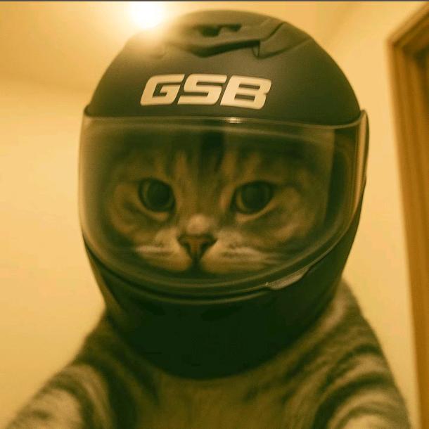 不爱吃葱姜蒜折耳根苦瓜榴莲螺蛳粉爱吃香菜