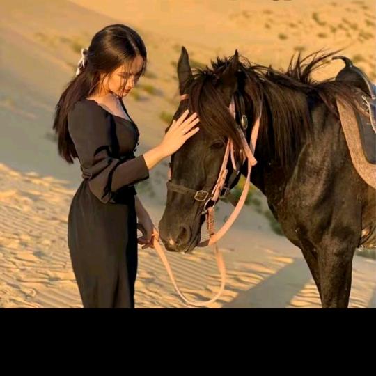 海__   🦋  __ྀღ🌺