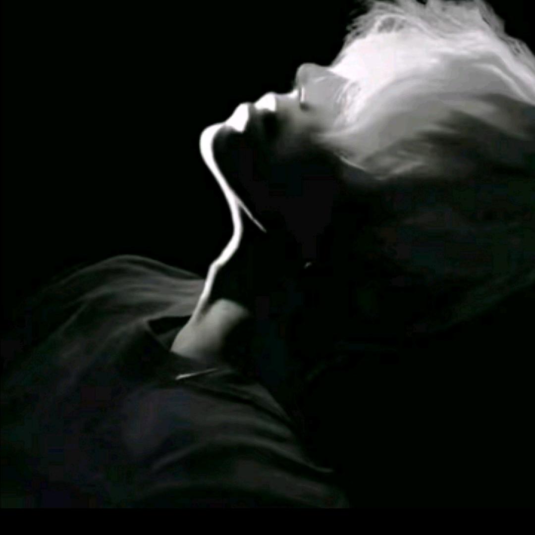 夜色（冲冲冲）