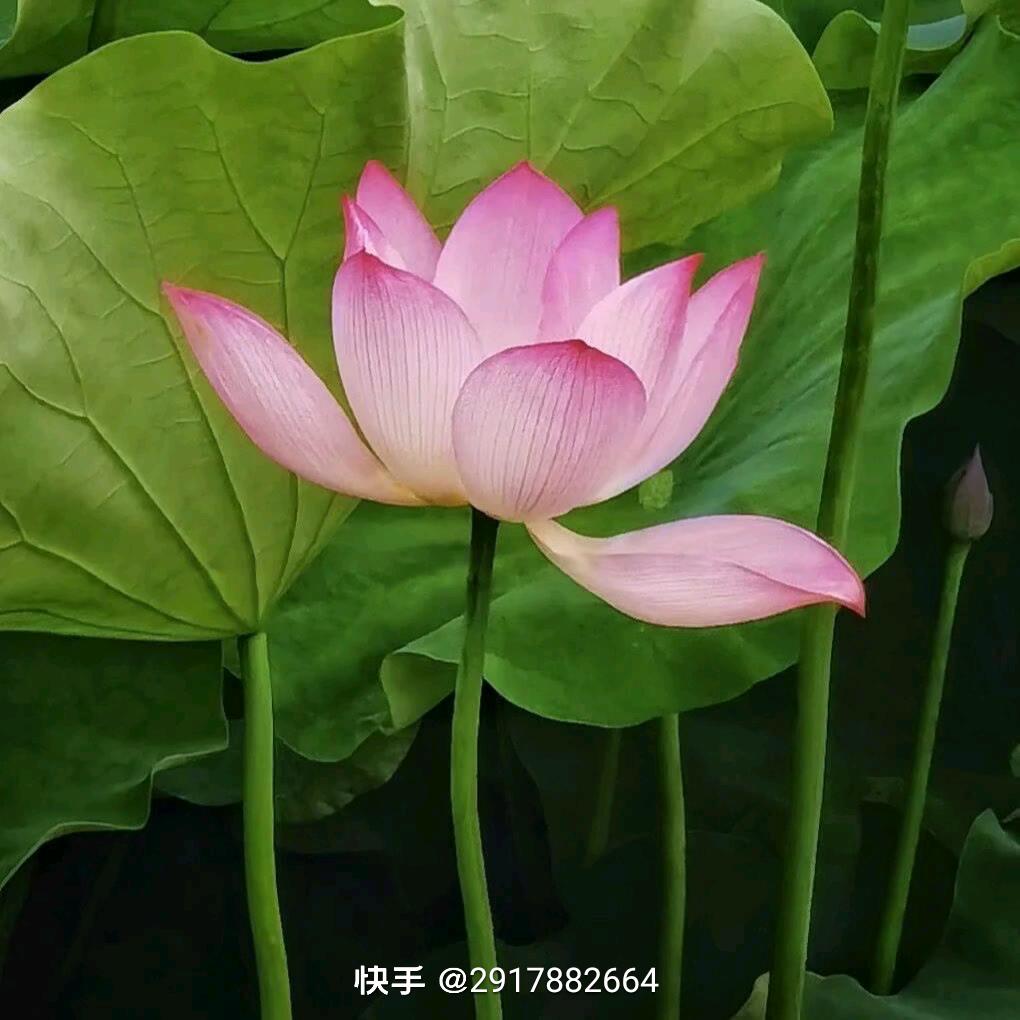 一生平安