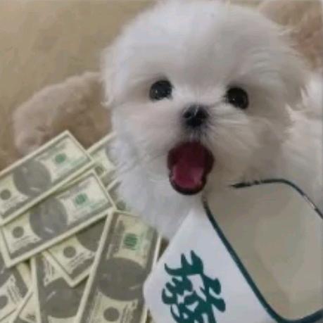 我脸¹点也不圆