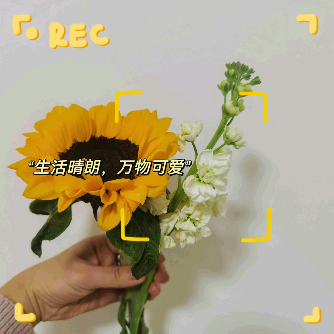 哆咪甄选