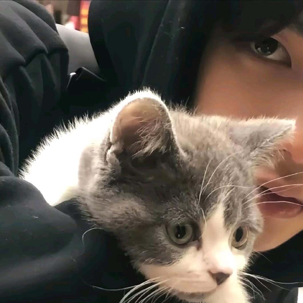 흥흥