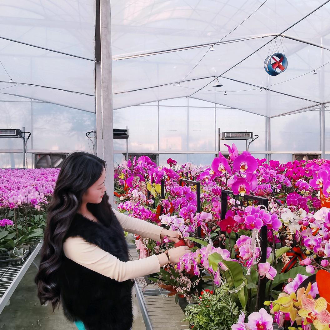 莆田市荔城区未时鲜花绿植店
