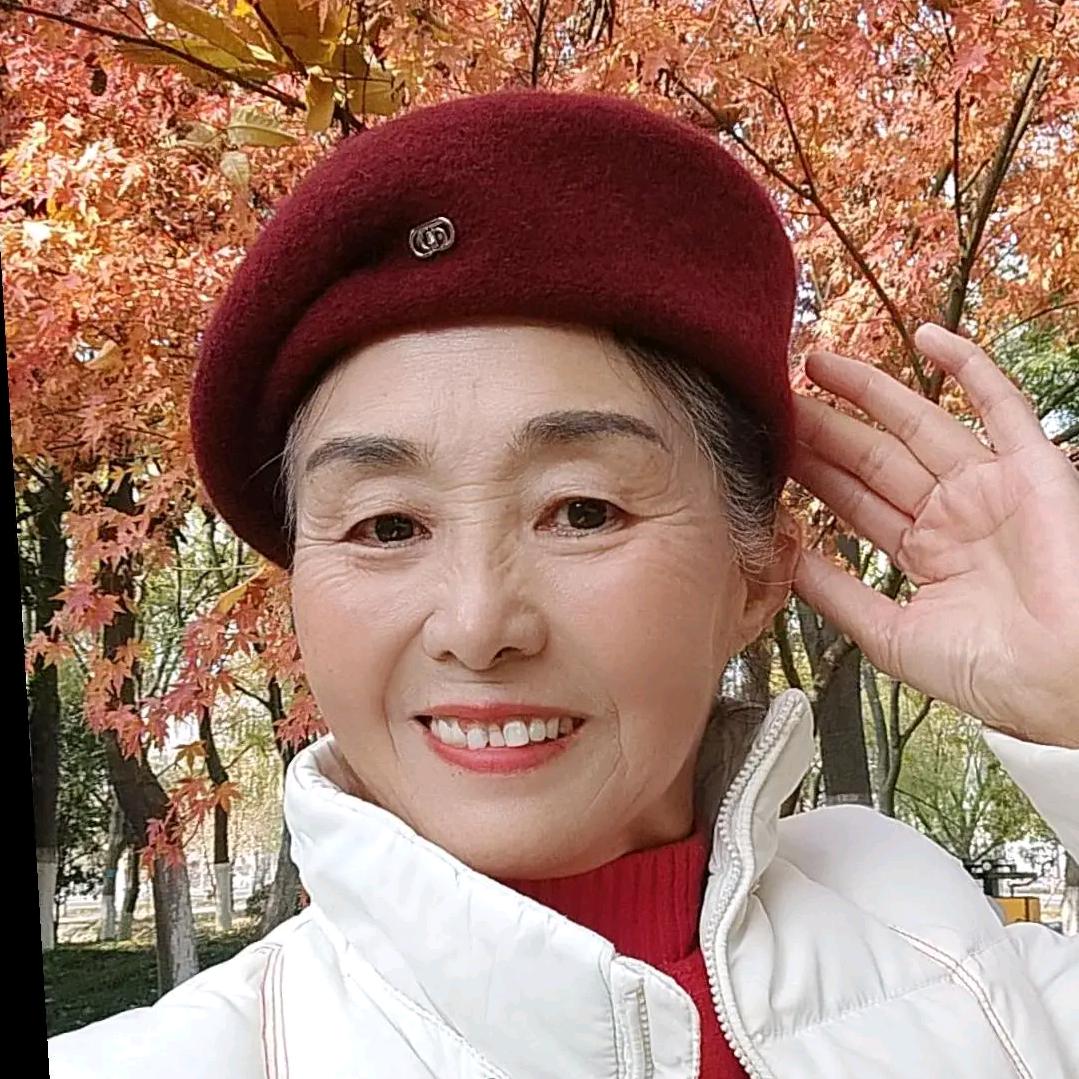 雁南飞