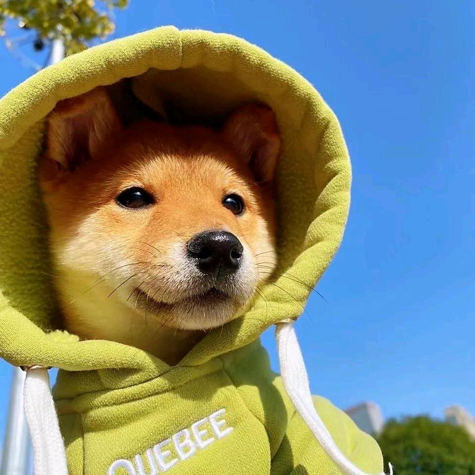 百十来斤