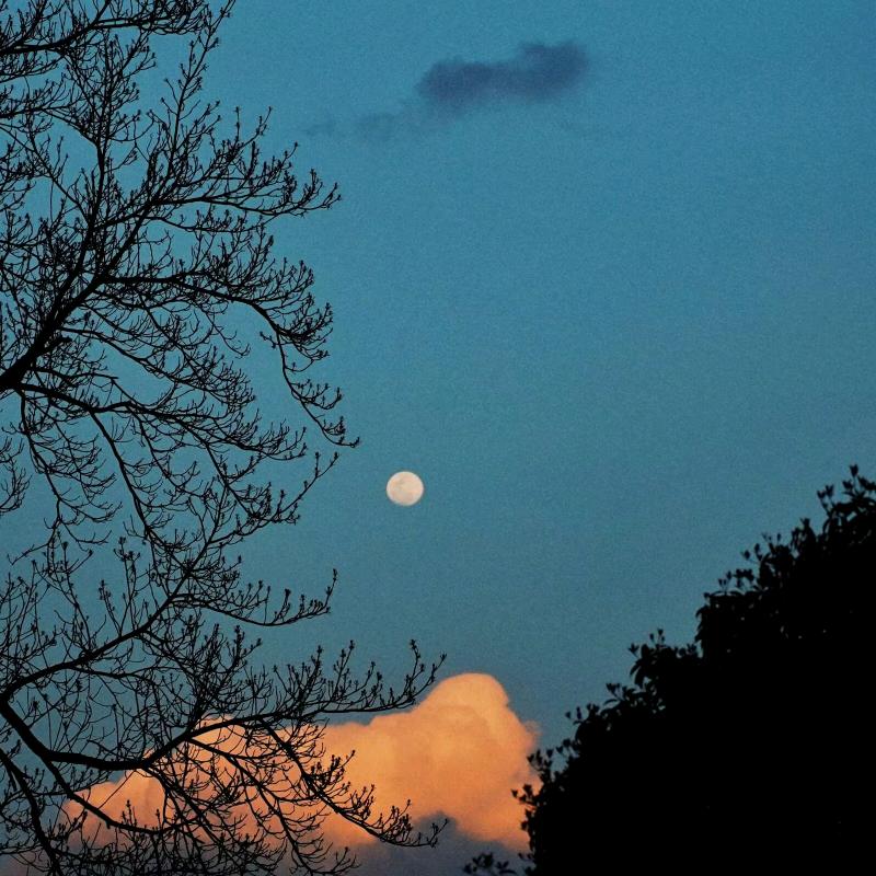 拍视频的橙红灰