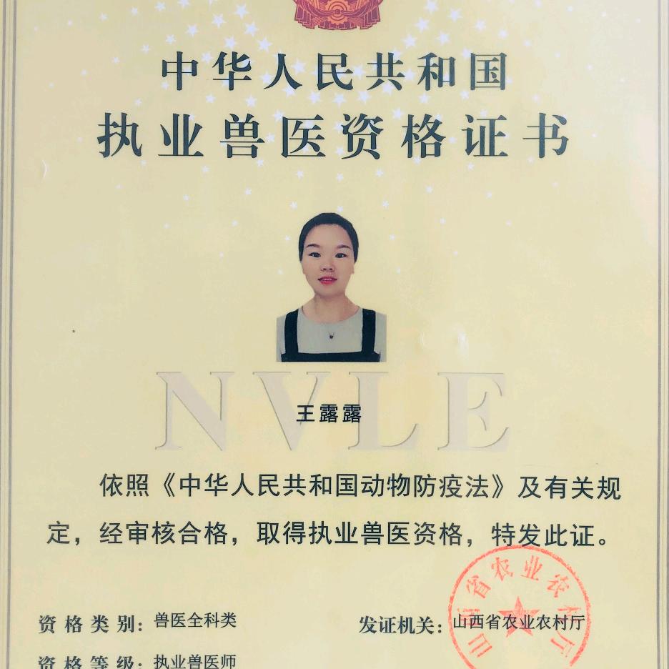 兽医王大姐