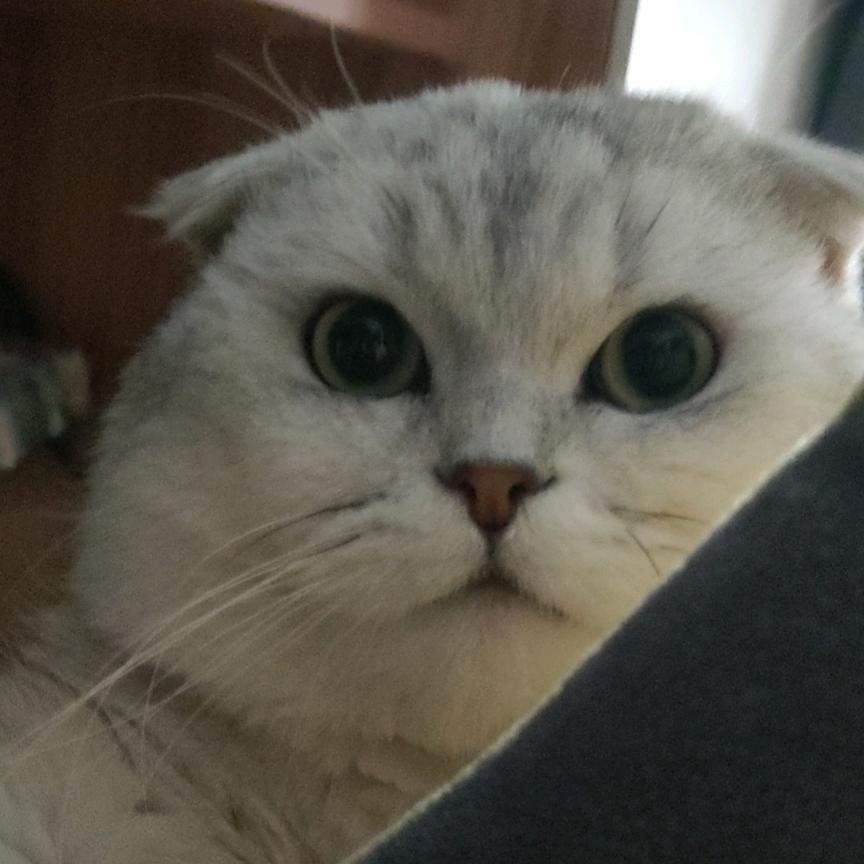 潭麟