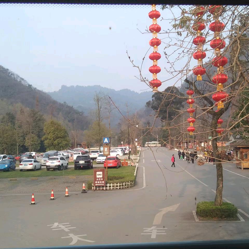 徐华