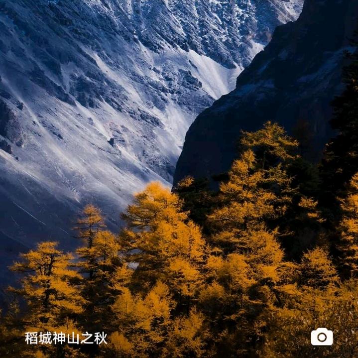 孟贵