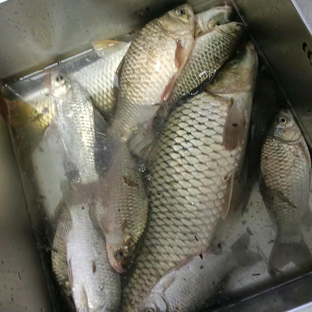 美好的一天