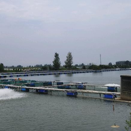 沈丘县启源养殖