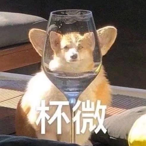 飞飞