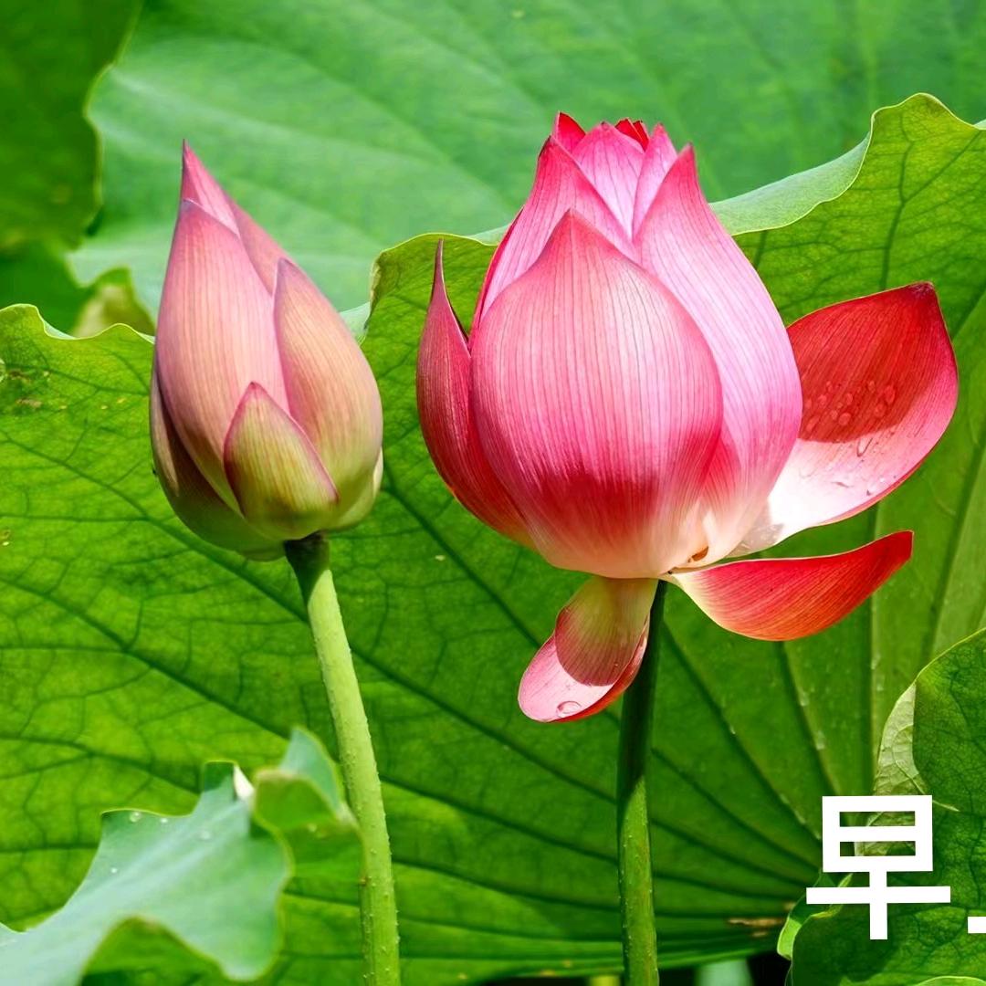 顺其自然吧