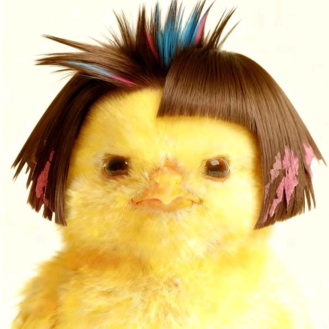 倩ᩚ倩ᩚ💫