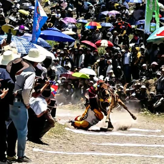 世界这么黑老子敢信谁