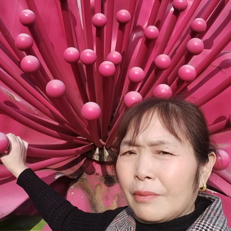 浅菊