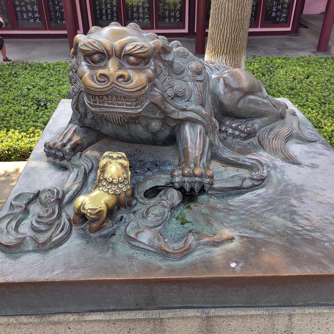 随风追逐
