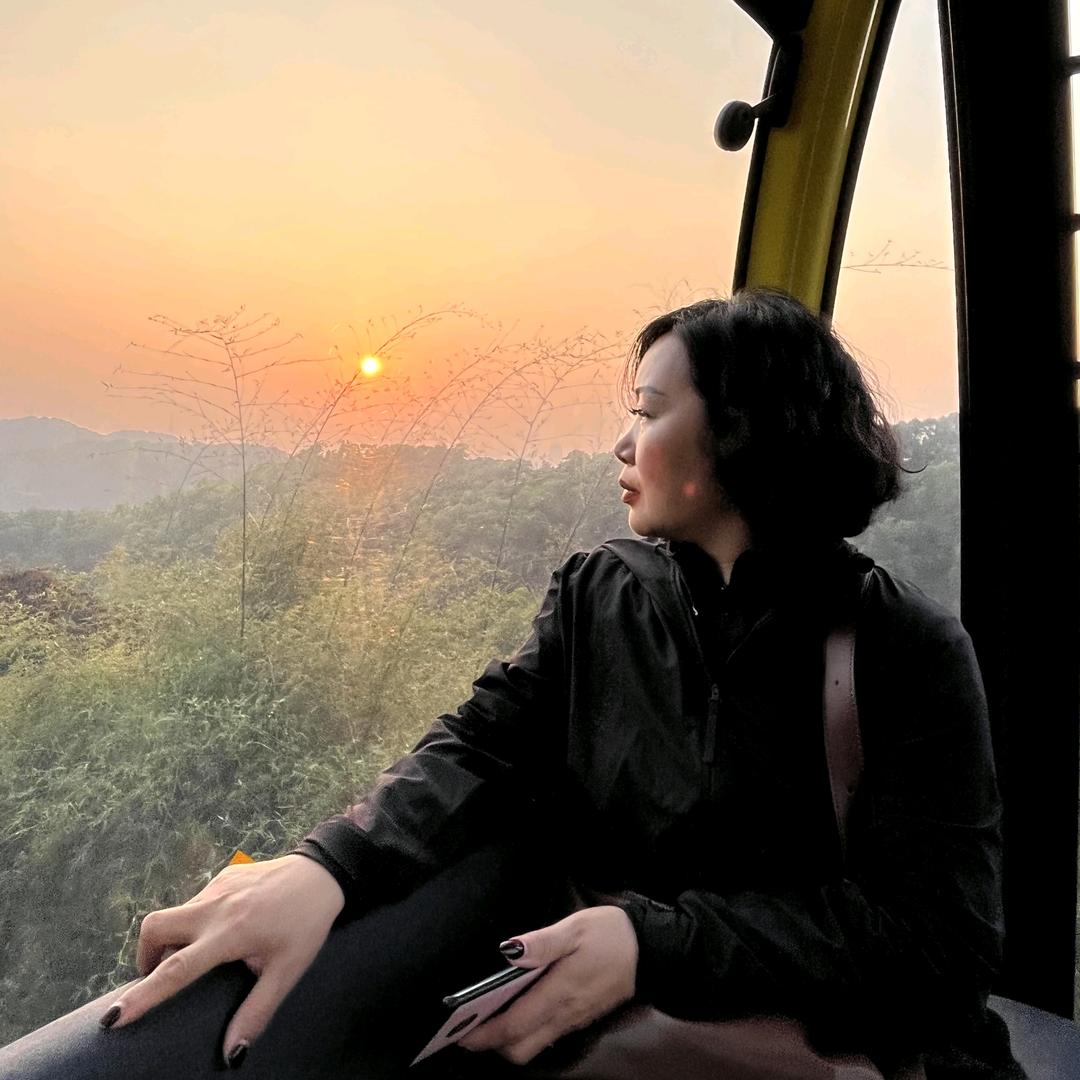 白鹭