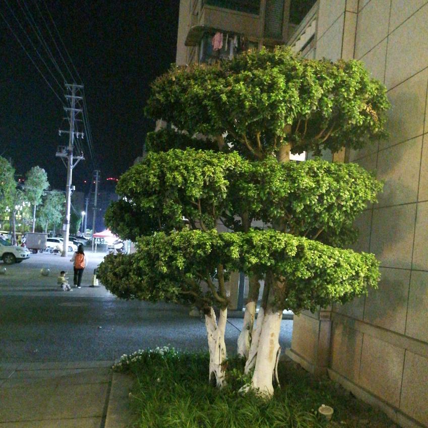 川R何