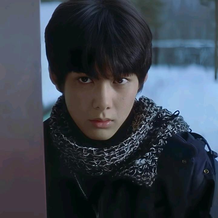 白杨木