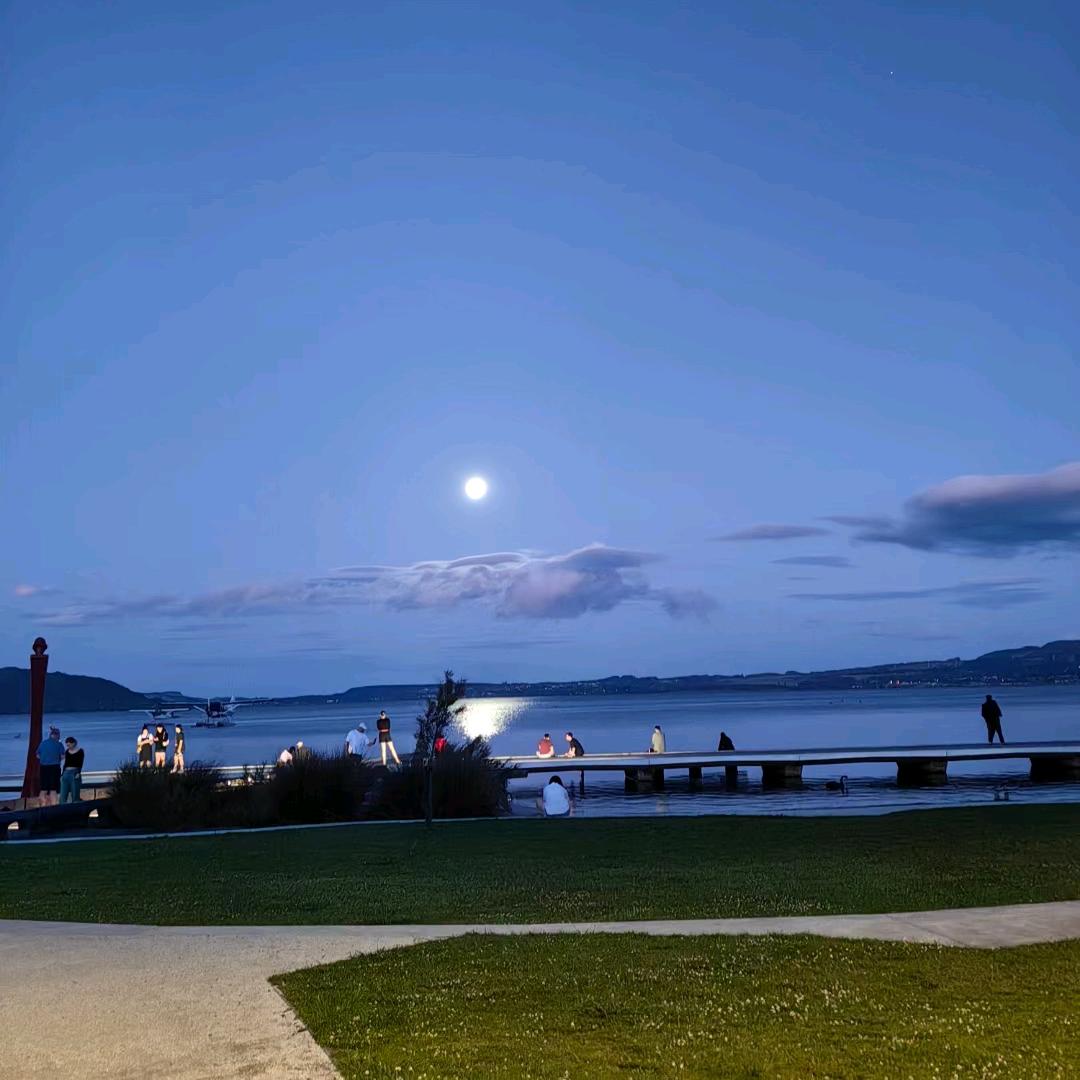 披着狼皮的美羊羊❤️