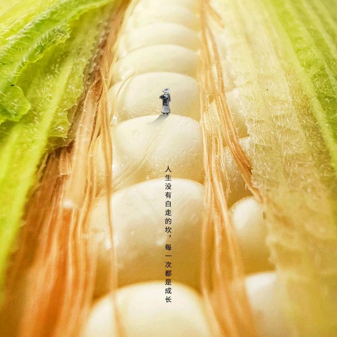 广东和利农生物种业