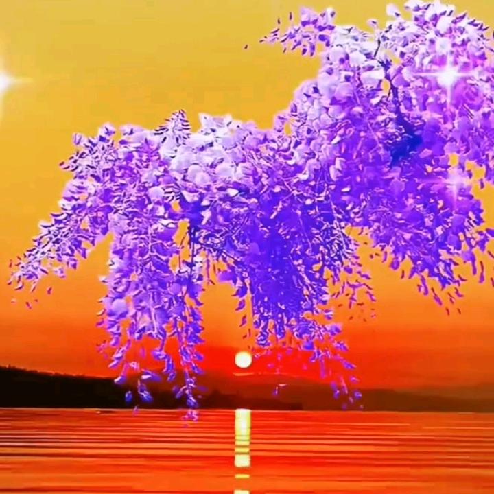 感念过去，心安现在，喜悦未来