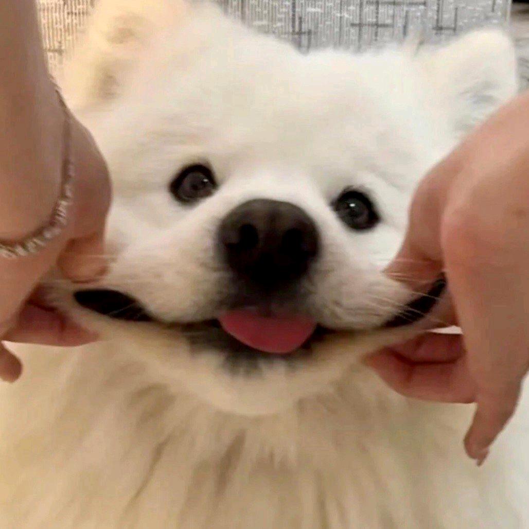 何