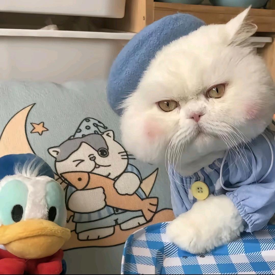 雾语扭扭棒手作【首播22:00】