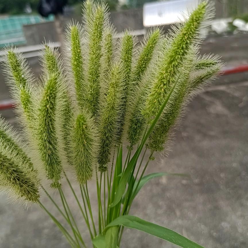 简单的快乐8
