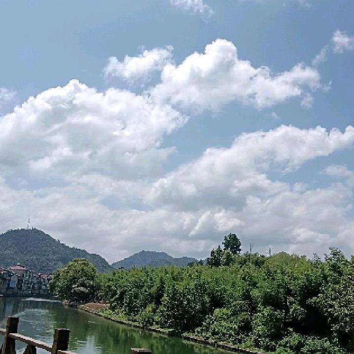 白云飘飘（拒私聊）