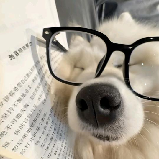 我不叫喂我叫楚雨荨