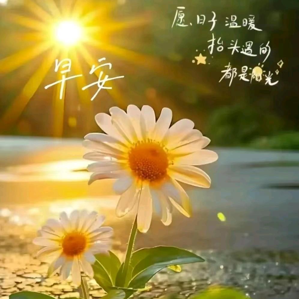 xinbao