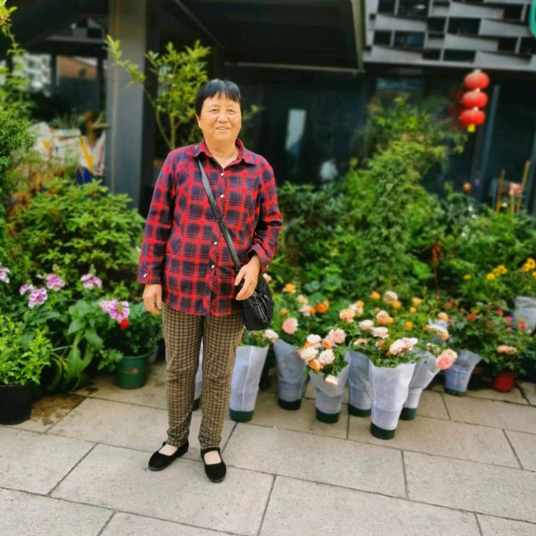 子晨奶奶
