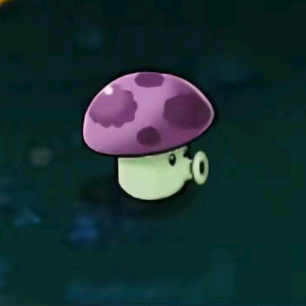 幽默小喷菇🎹
