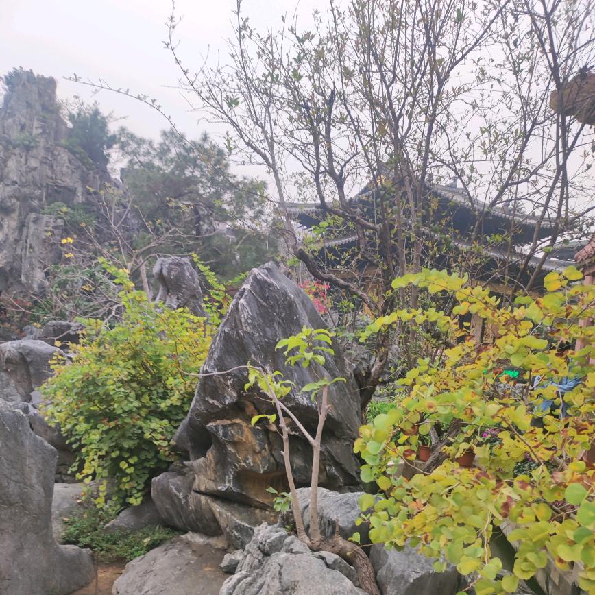 明天美好