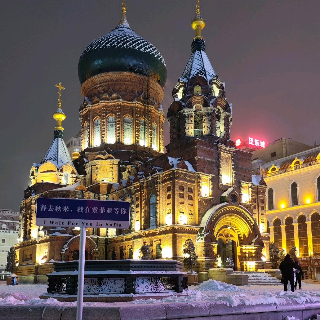 黑龙江省中青国际旅行社