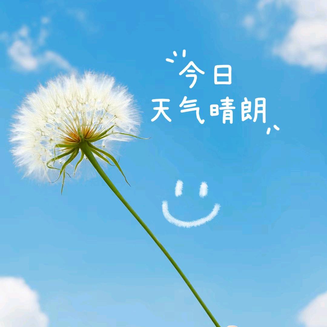 半颗糖🍬