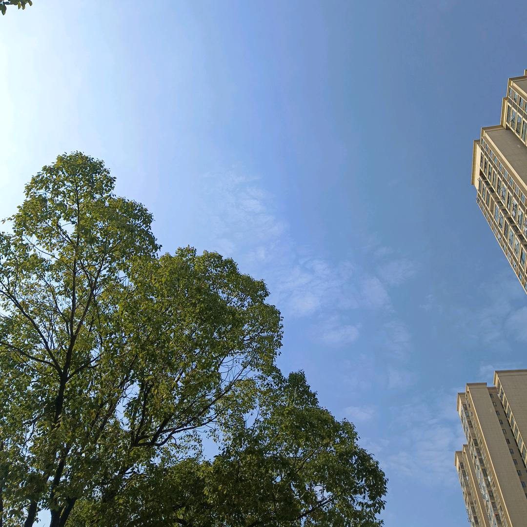 小聂同学🌸🌸