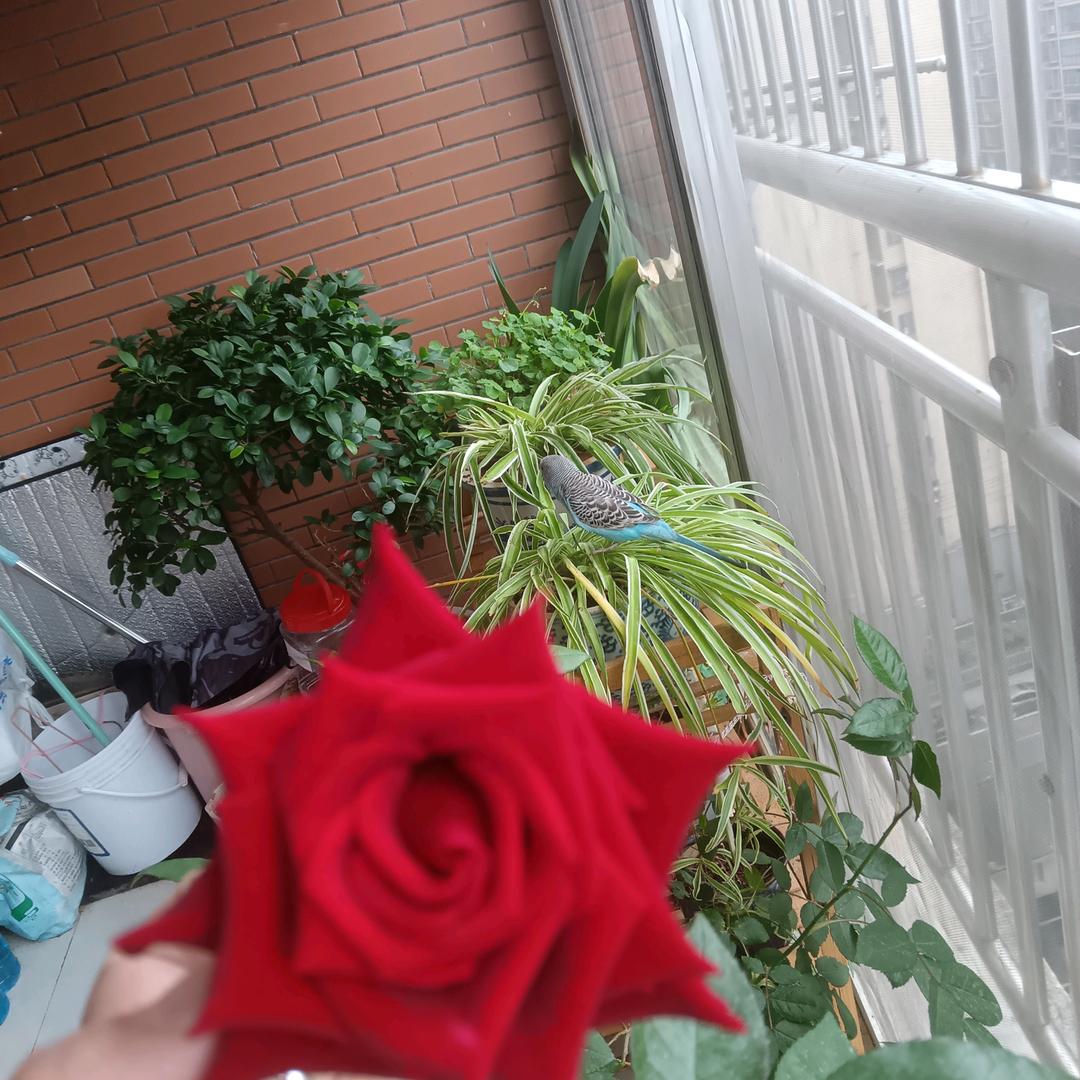 我好你也好