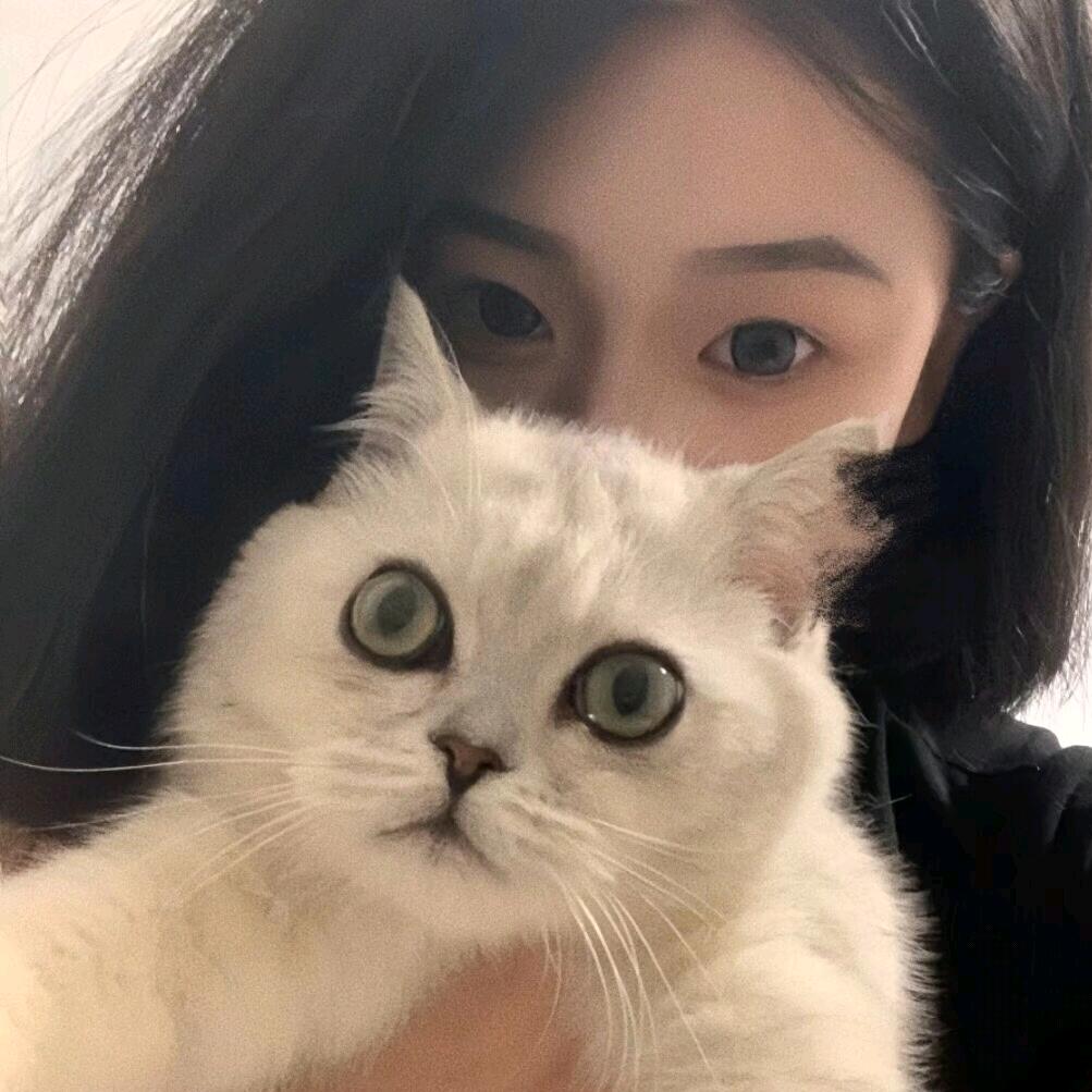 不坚定的鸽子