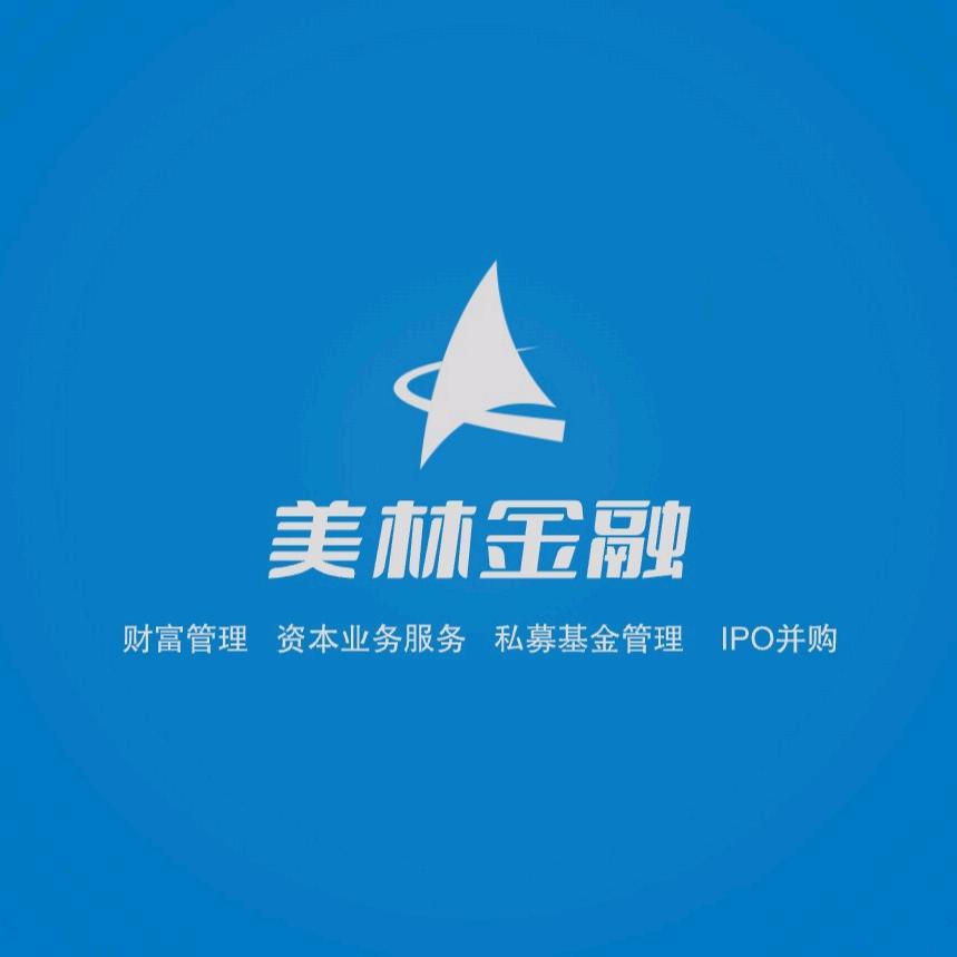 美林证券（沙联联席投资基金•中国）