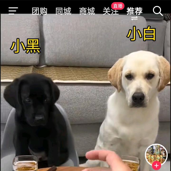 @自信哥