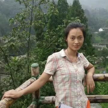 山窝里的麻雀🐦