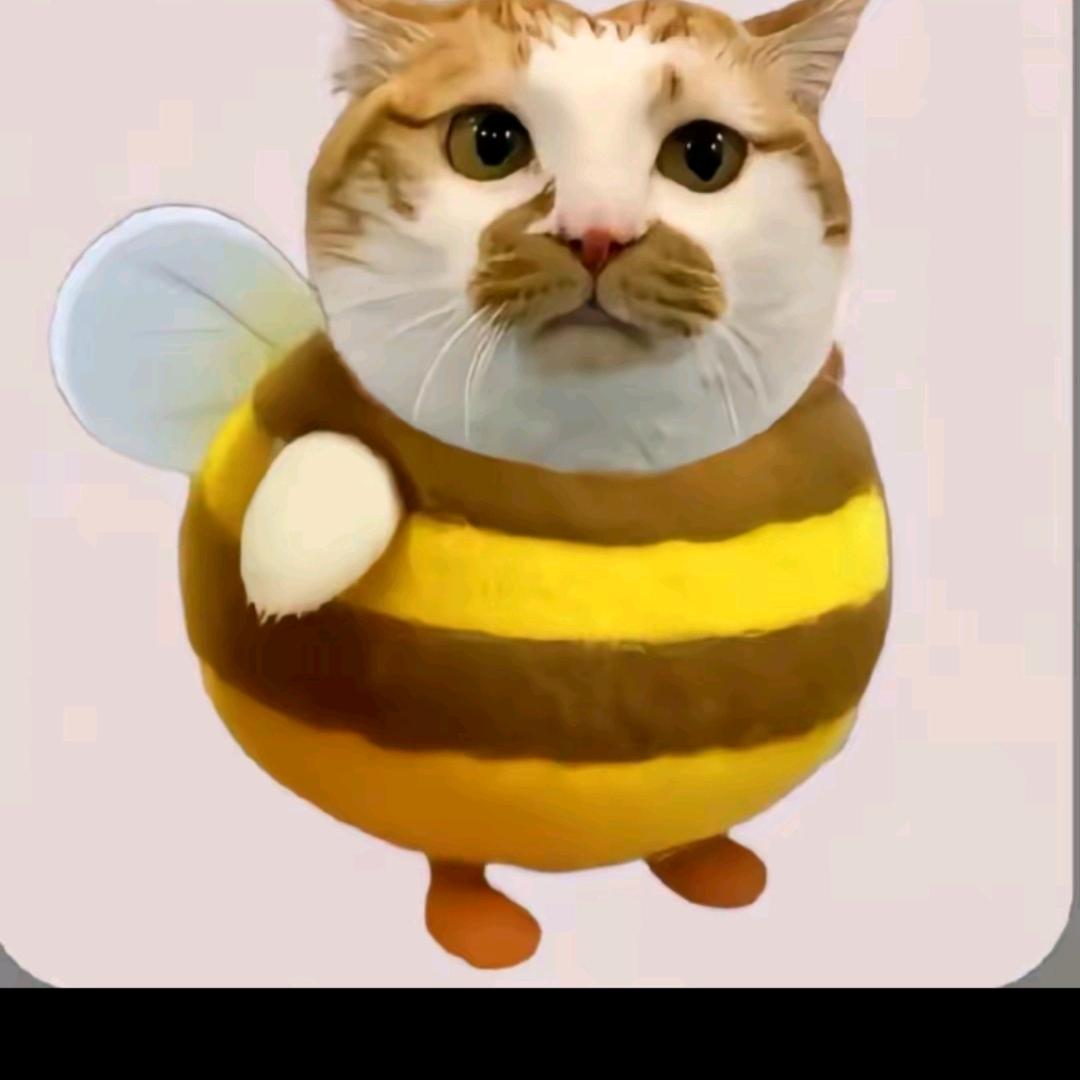 喜爱a