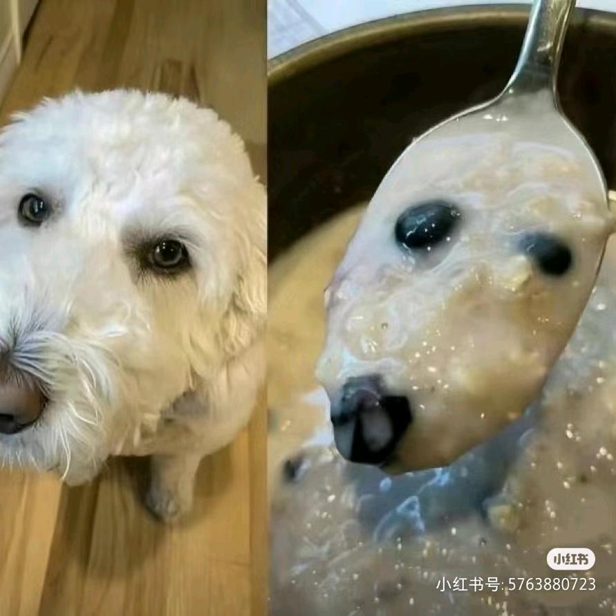 咕噜咕噜小咕咚