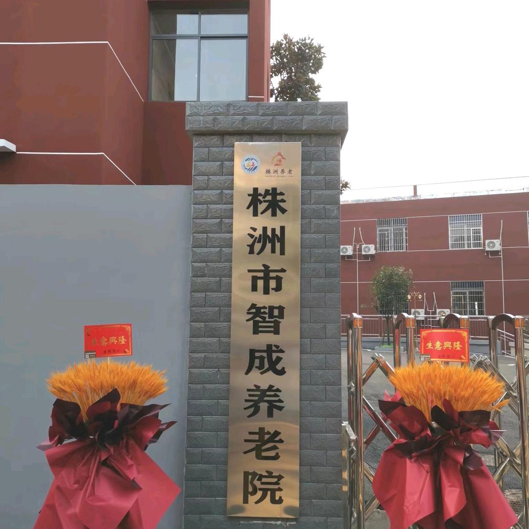 智成养老院刘主管