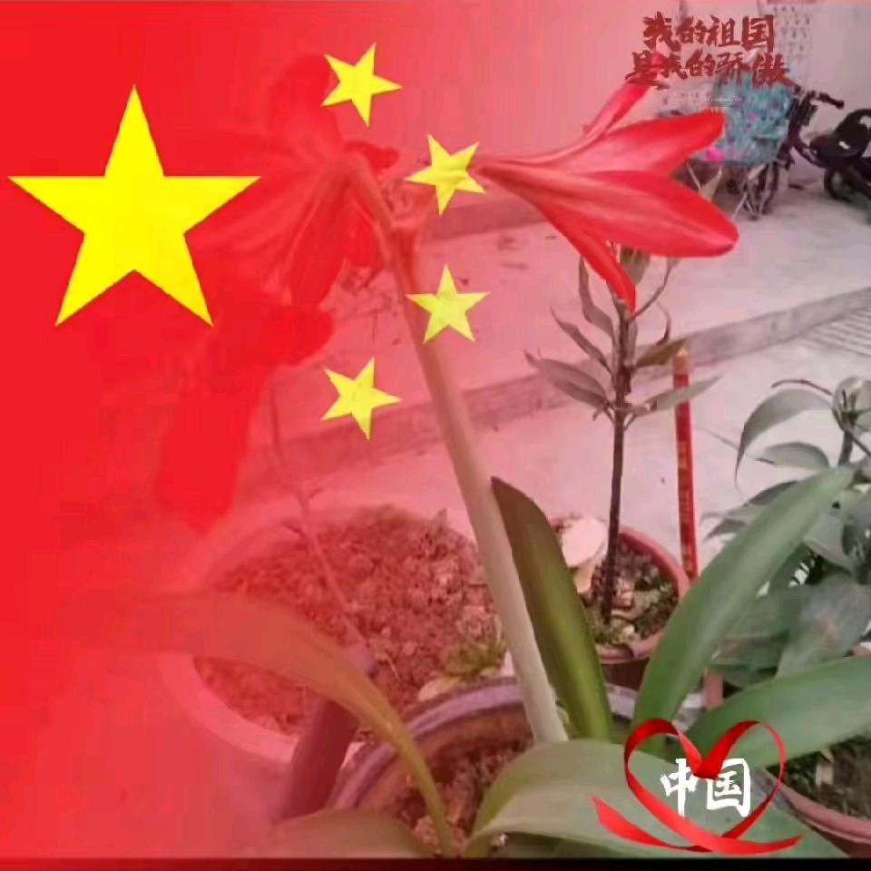 家和万事兴🇨🇳